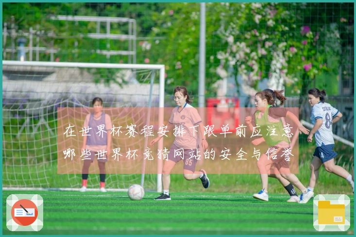 在世界杯赛程安排下跟单前应注意哪些世界杯竞猜网站的安全与信誉