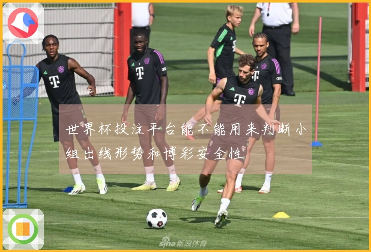 世界杯投注平台能不能用来判断小组出线形势和博彩安全性