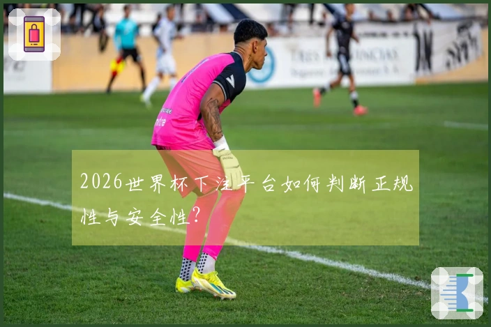 2026世界杯下注平台如何判断正规性与安全性？