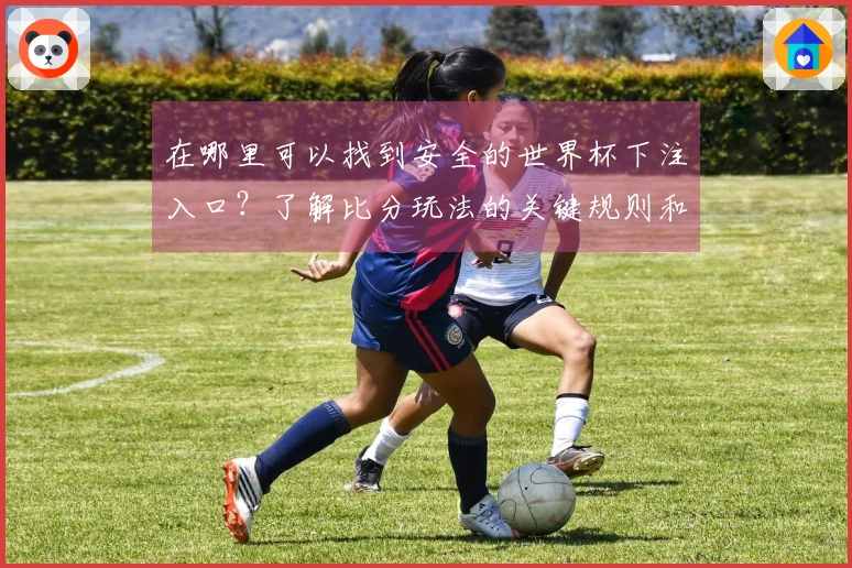 在哪里可以找到安全的世界杯下注入口？了解比分玩法的关键规则和注意事项