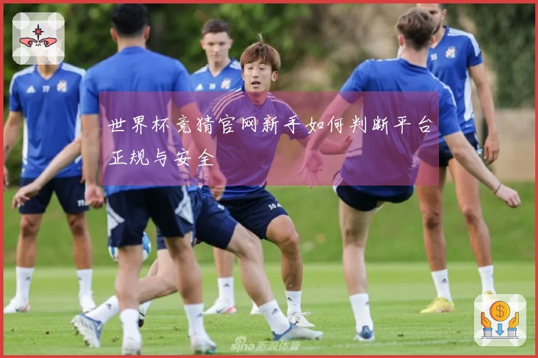 世界杯竞猜官网新手如何判断平台正规与安全