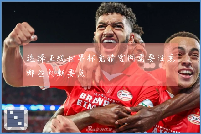 选择正规世界杯竞猜官网需要注意哪些判断要点