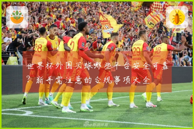 世界杯外围买球哪些平台安全可靠？新手需注意的合规事项大全